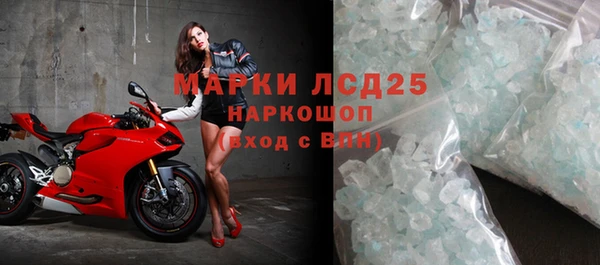 СК Зерноград