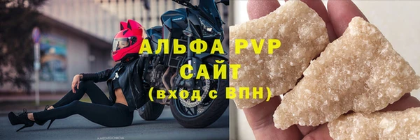 СК Зерноград