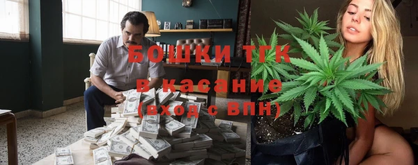 ПСИЛОЦИБИНОВЫЕ ГРИБЫ Чердынь