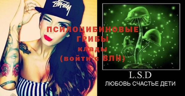 ECSTASY Зеленодольск