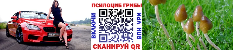 Псилоцибиновые грибы мицелий Свирск